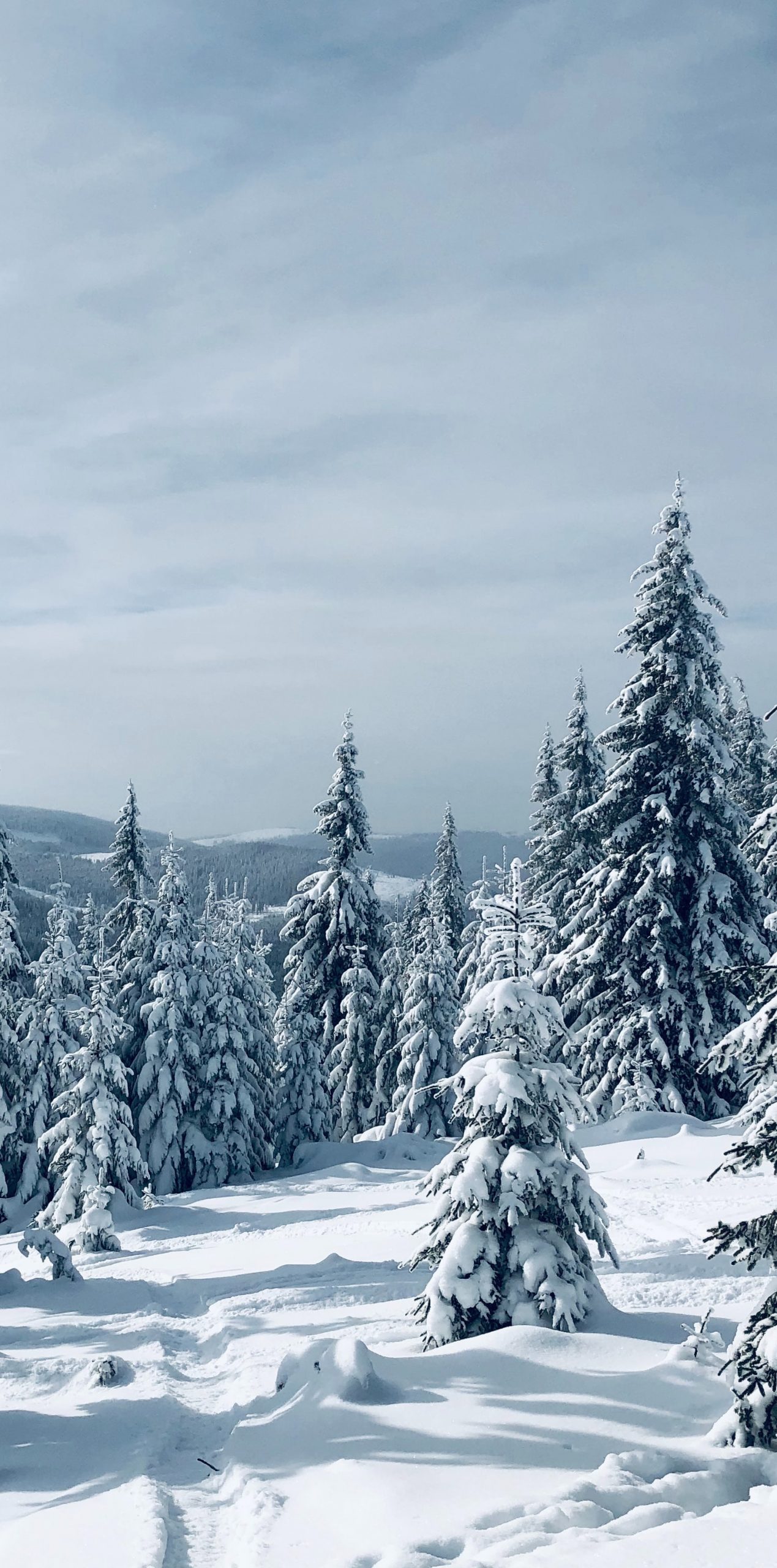 winter2